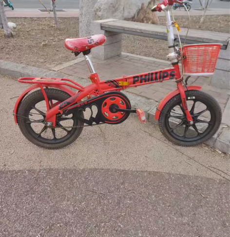 自家孩子练手折叠自行车 感兴趣的话点“我想...