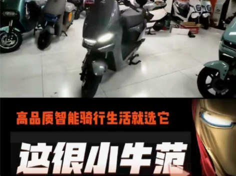 品牌:小牛电动  GOVA系列 F4-动力...