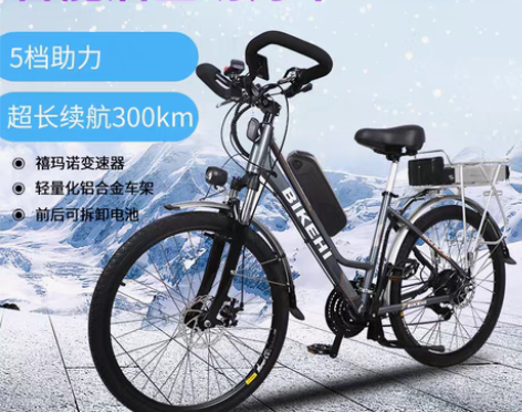 转卖飞鸽智能电动旅行车长途骑行队山地助力自...