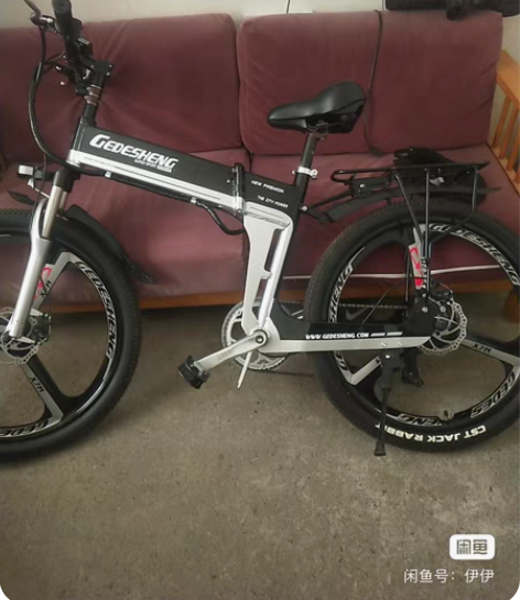 正步折叠电动车，买来吃灰。9.9新。三种模...