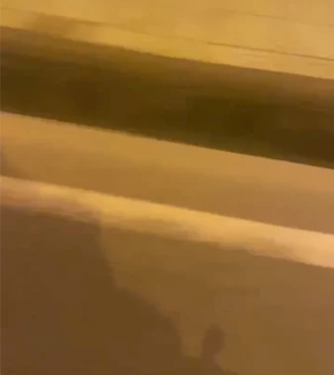 小忍者 Ninja 维森克 350...