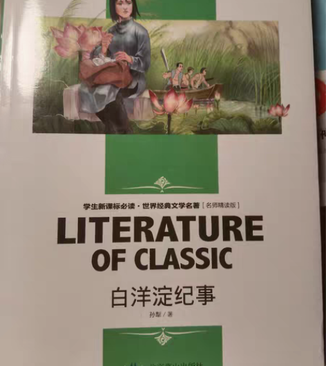 文学小说教育出版社七年级初一上册白洋淀纪事...