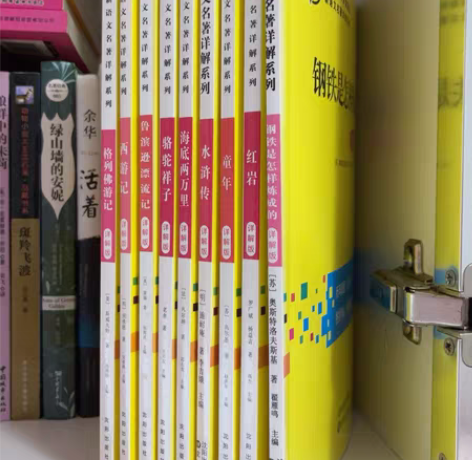 毕业收拾书 名著《格列佛游记》《西游记》《...