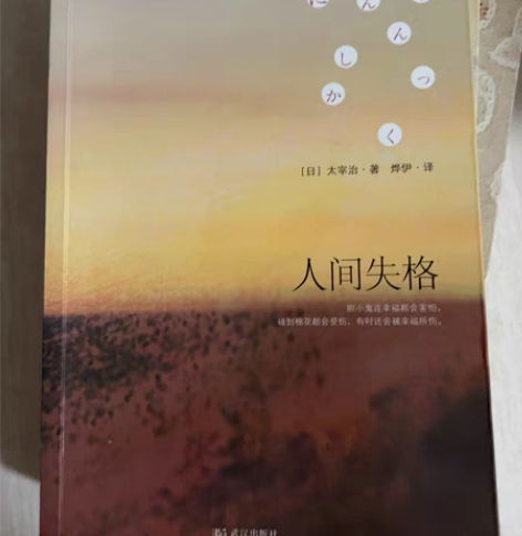 闲置书 生死疲劳 妊娠 失乐园 人间失格 ...