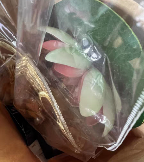 cos服 自穿的 平均次数一次左右吧 基本...