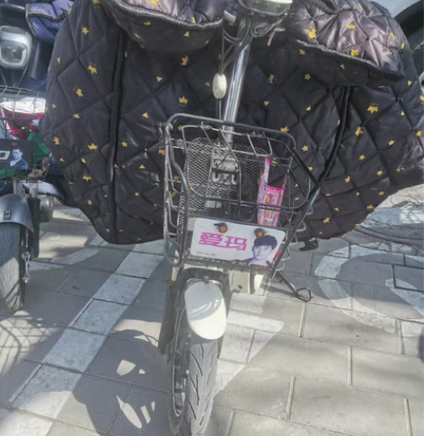 爱玛电动车。48伏12安去年的七月电瓶。没...