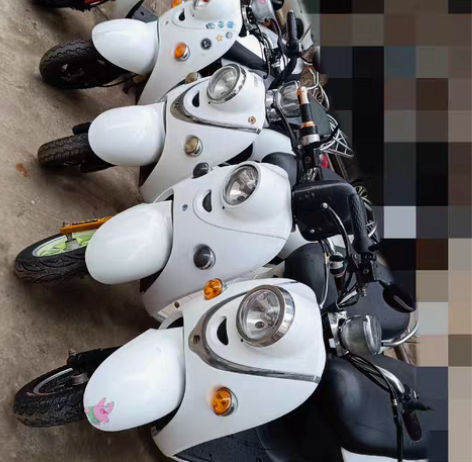 飞鸽电动车，自骑，现在换大电动车，便宜出售...