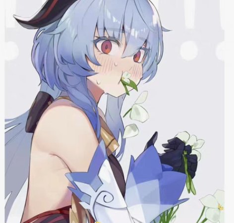 原神采集材料代肝 绝云椒椒 霓裳花 塞西莉...