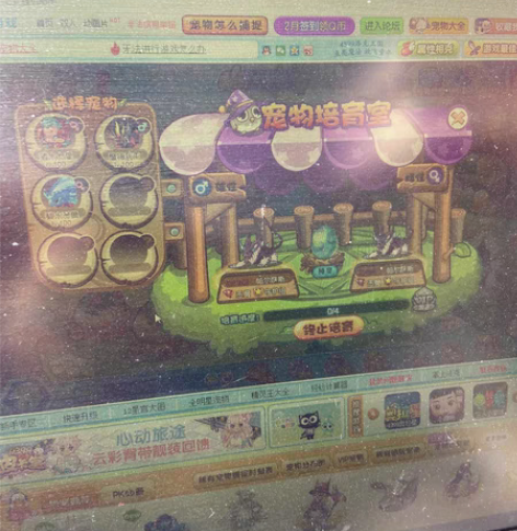 包邮洛克王国萨尔萨斯宠物蛋，大量现货可包母...