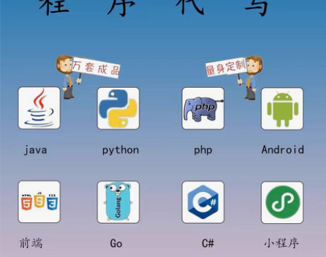 包邮软件定制Java开发c#程序go代做小...