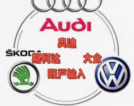 包邮大众奥迪斯柯达在线匹配，解保护 ，远程...
