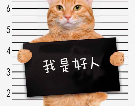 包邮远程维修电脑、在线重装系统纯净版、重装...