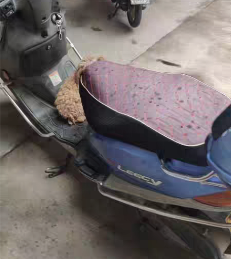 包邮铃木丽彩125,发动机相当暴力,极速1...