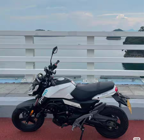 收一辆春风狒狒st125，最好是温州鹿城龙...