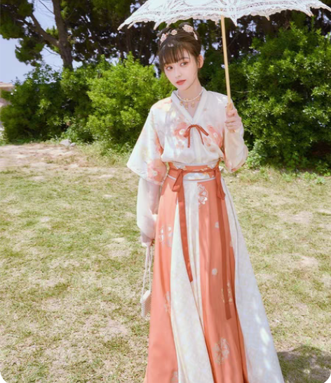 包邮十三余小豆蔻儿[洛神花事]唐背子圆领衫...