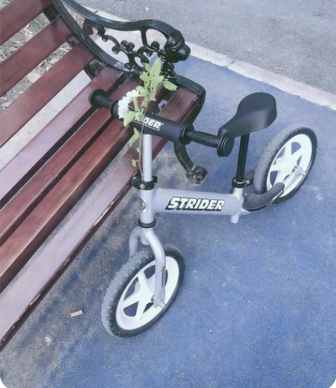 包邮STRIDER平衡车 找代购买的145...