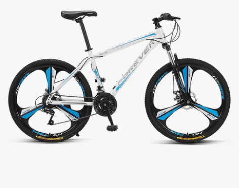 转卖【狂欢价】官方旗舰店上海永久牌山地自行...