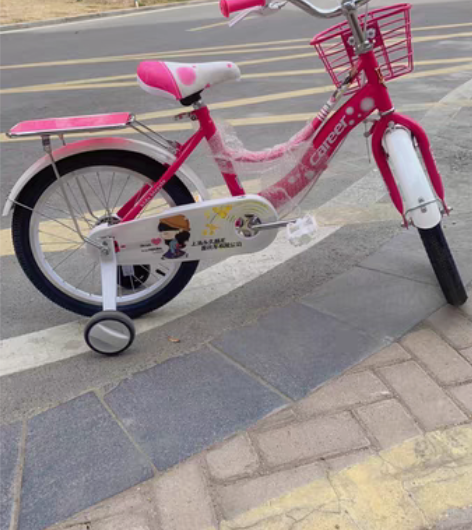 上海永久自行车，全新的，买来之后一直在家闲...