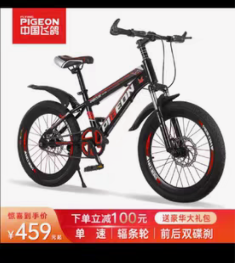 全新20寸永久自行车。419购买的，有点大...