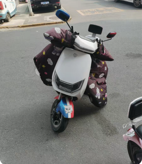 台铃电动车 台铃小狮子，大品牌，质量不用多...