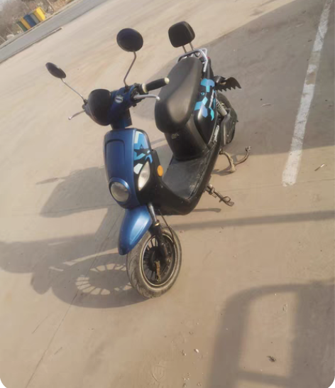 绿源电动车 48 伏20安电池 喇叭响 大...