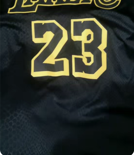 包邮詹姆斯球衣，20年夺冠年，几乎全新，买...