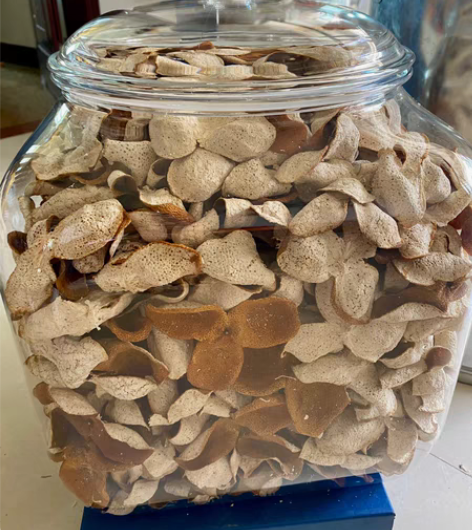 2022年新会天马圈枝陈皮，你们问爆的圈枝...