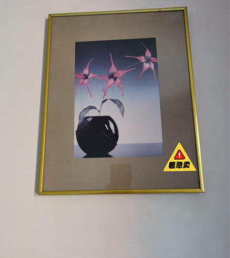 全新 现代装饰画，长38CM宽30CM，实...