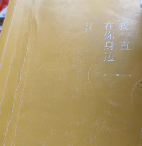 青春文学的小说 感兴趣的话点“我想要”和我...