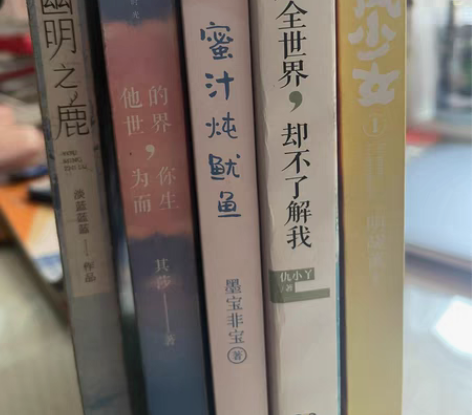 青春文学[托腮] 价格可谈：一本20、两本...