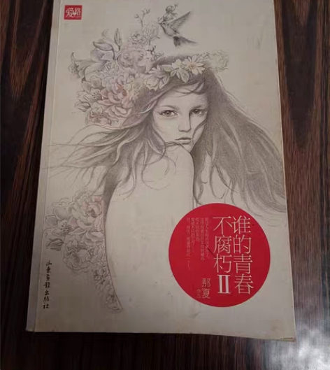 青春小说6元一本（闲置很久了，里面无笔记比...