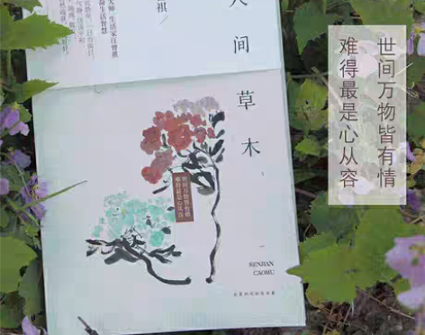 包邮人间草木 汪曾祺典藏文集 散文集 裸脊...