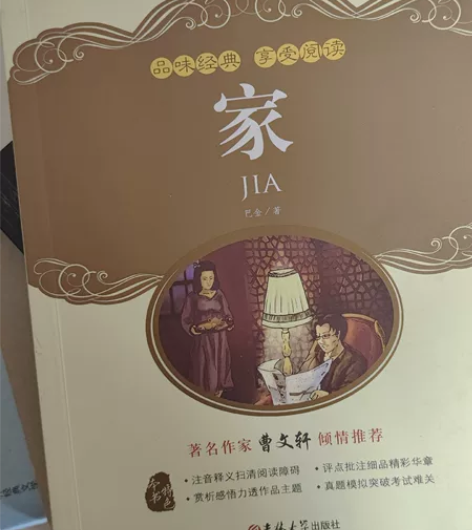 巴金经典作品《家》 读过的好书闲置 九成新...