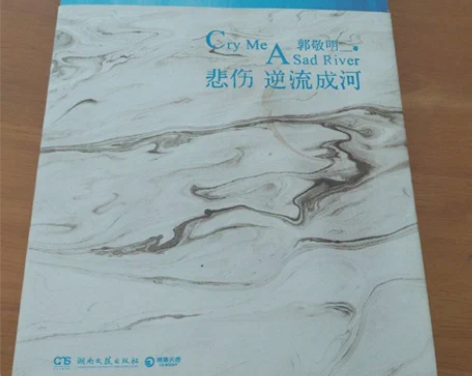 正版二手 悲伤逆流成河 2018影视版 郭...