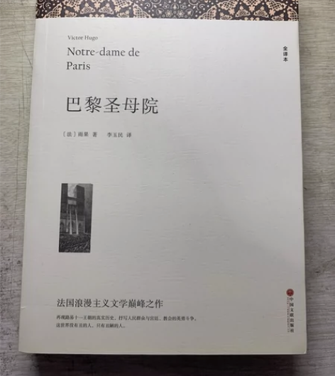 《巴黎圣母院》九成新,学校要求买的一次没读...