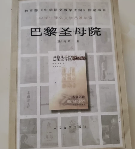 巴黎圣母院 权威版本 人民文学出版社 内容...