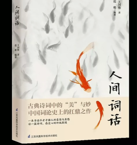 人间词话  王国维著全新！的正版书！正版正...