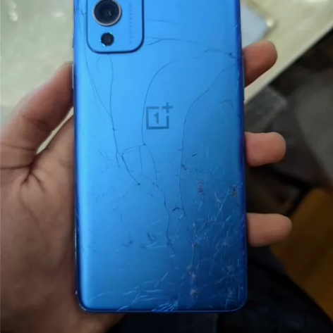 一加九 12+256 手机还在保，还有半年...