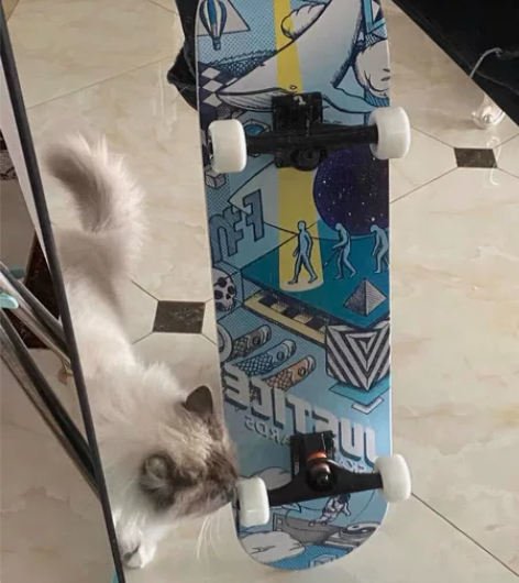 沸点滑板justice，ET外星人 出滑板...