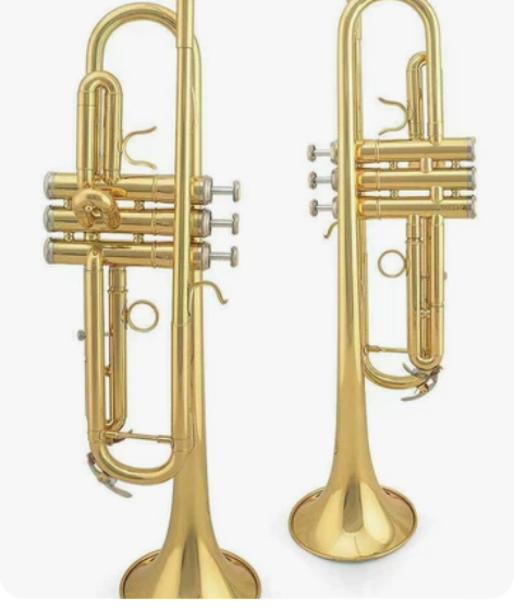 全新琴行清仓大处理部分金音牌和降B调小号 ...