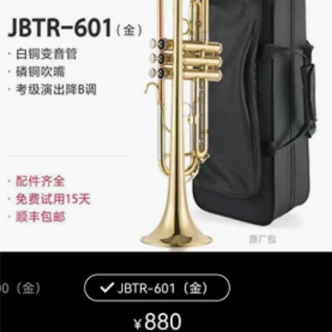 津宝小号乐器专业演奏级儿童成人管乐队降b调...