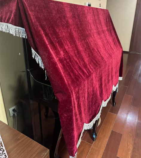 斯坦巴赫Steinbach钢琴   日本原...