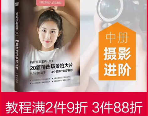 蚂蚁摄影宝典中册 20个精选场景学构图 ...