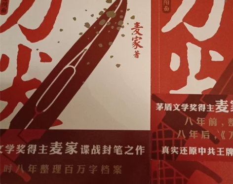 麦家小说《刀尖》两部曲。正版书，9.9成新...