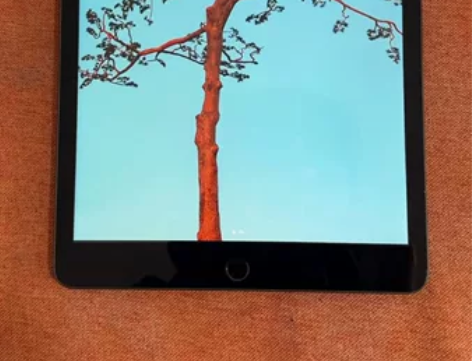 国行原内存95新IPad 2020 10....