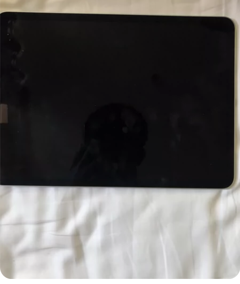 ?Ipad Pro 21款  256G  ...