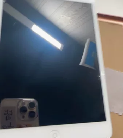 个人闲置iPad mini一代 轻微使用痕...