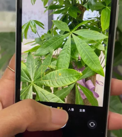 苹果Xr游戏机128g iphonexr ...