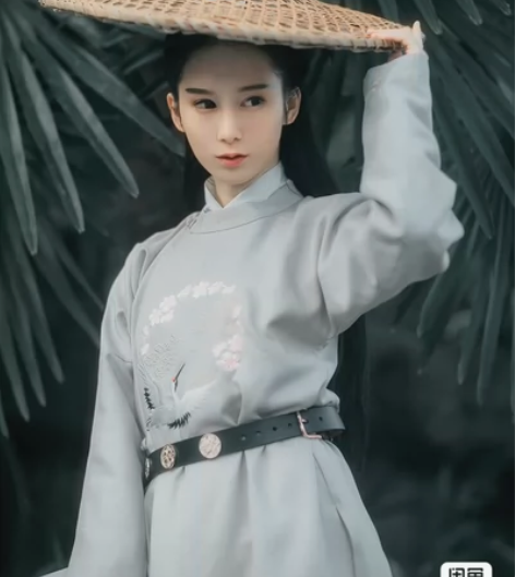 汉服退坑 9成新，兰若庭圆领袍单件，没有腰...