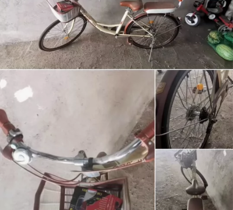 上海永久牌自行车24寸变速自行车 察素齐自...